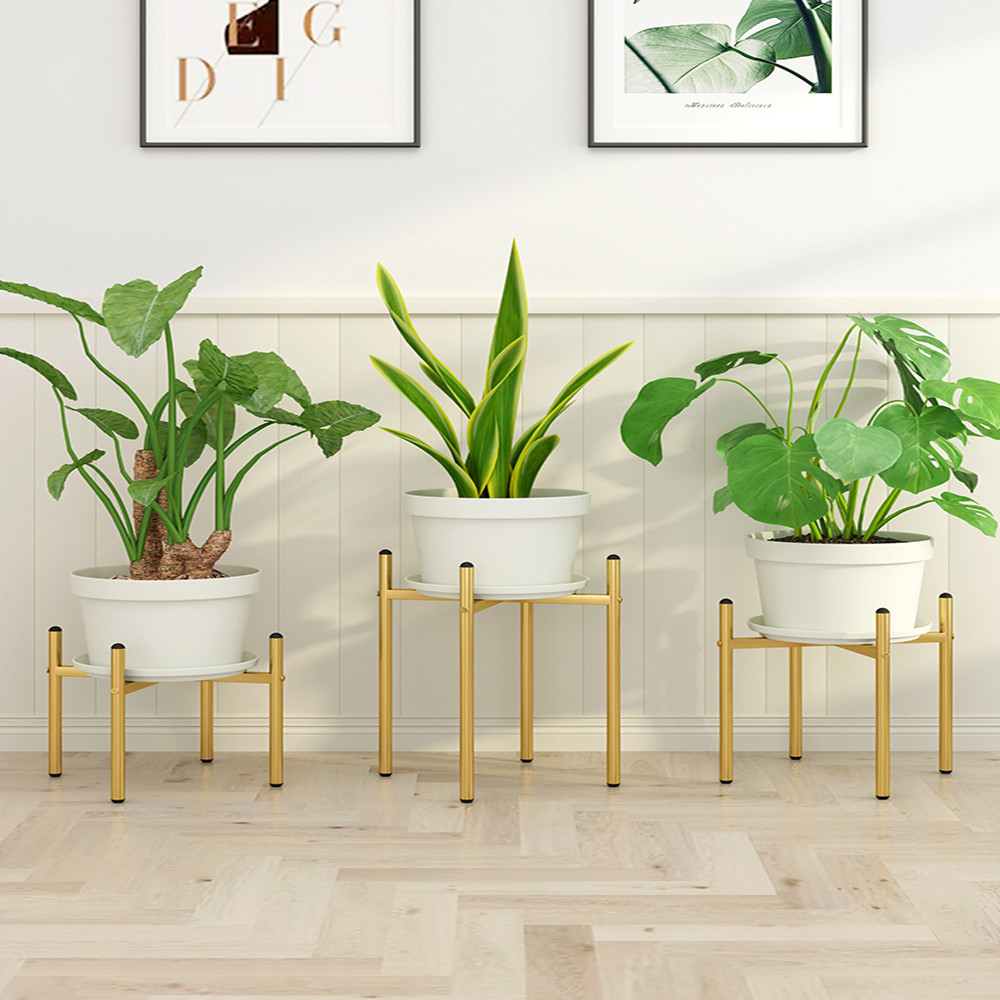 40CM Outdoor Furniture Plants  - đánh giá và giá Outdoor Furniture Luxury