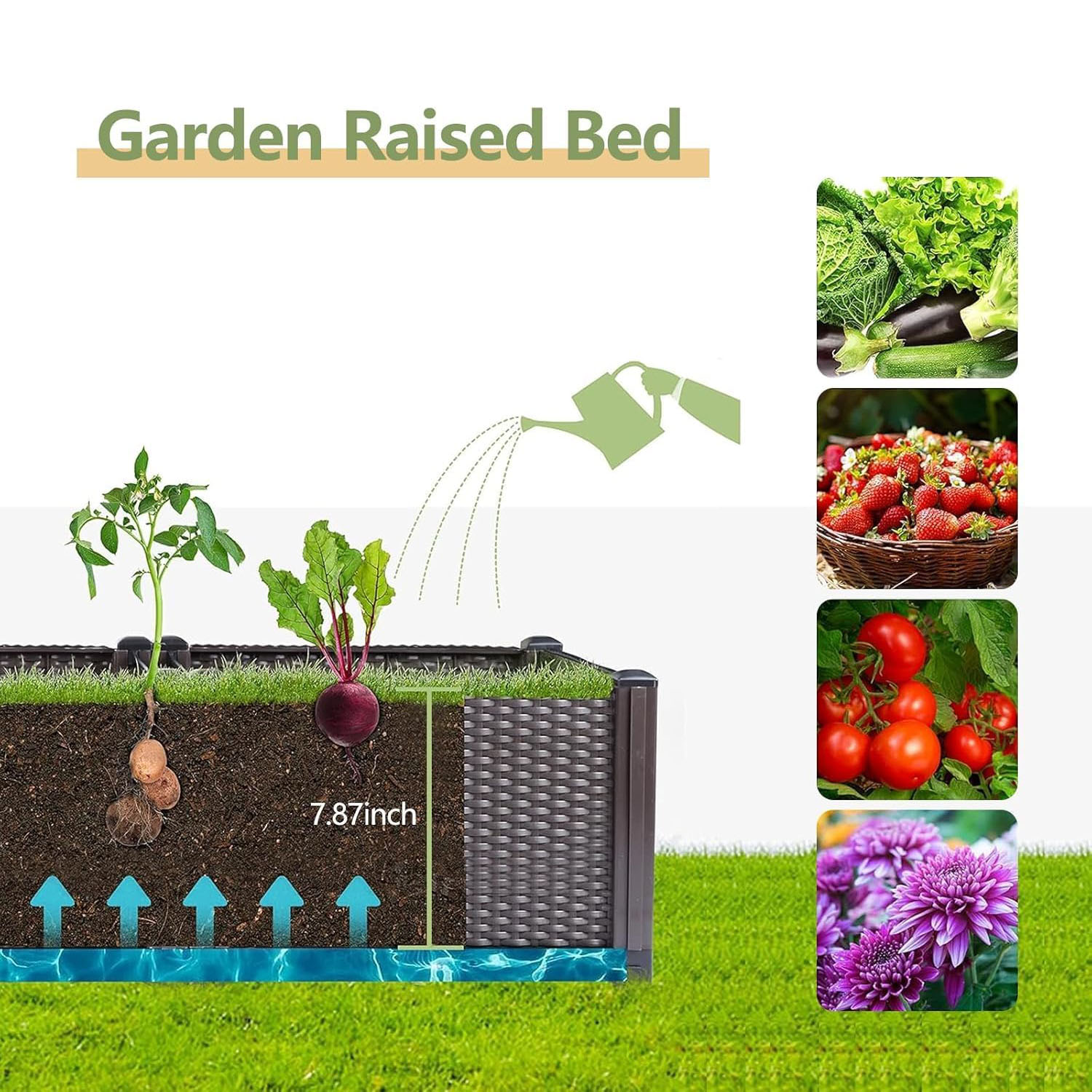 Self-Watering Raised Garden Be - đánh giá và giá Outdoor Daybed Furniture